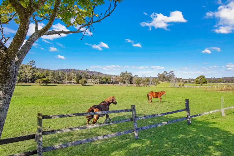 Fifth view of Homely rural property listing, 532 Jilliby Road, Jilliby NSW 2259