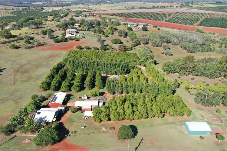 Main view of Homely house listing, 258 Atc Hall Road, North Isis QLD 4660