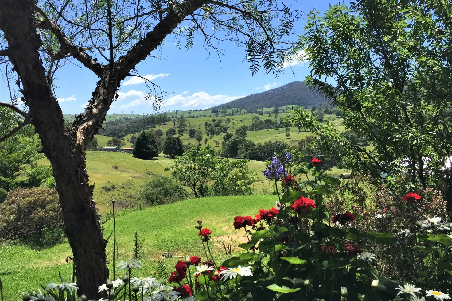 Main view of Homely rural property listing, 12563 Princes Highway, Brogo NSW 2550