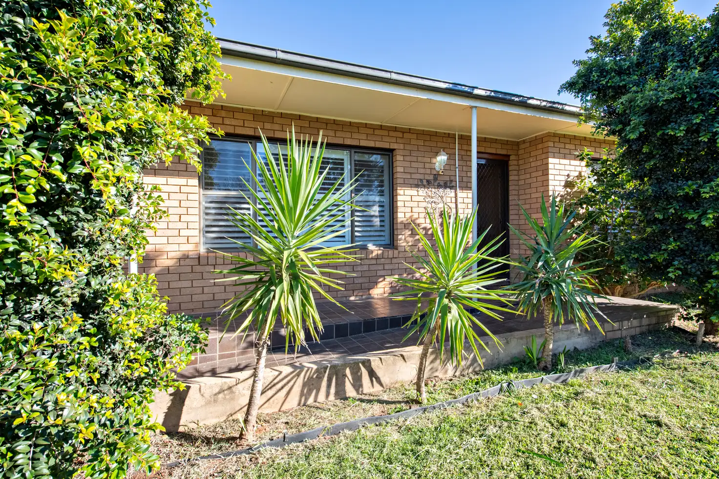Main view of Homely house listing, 115 Jubilee Street, Dubbo NSW 2830