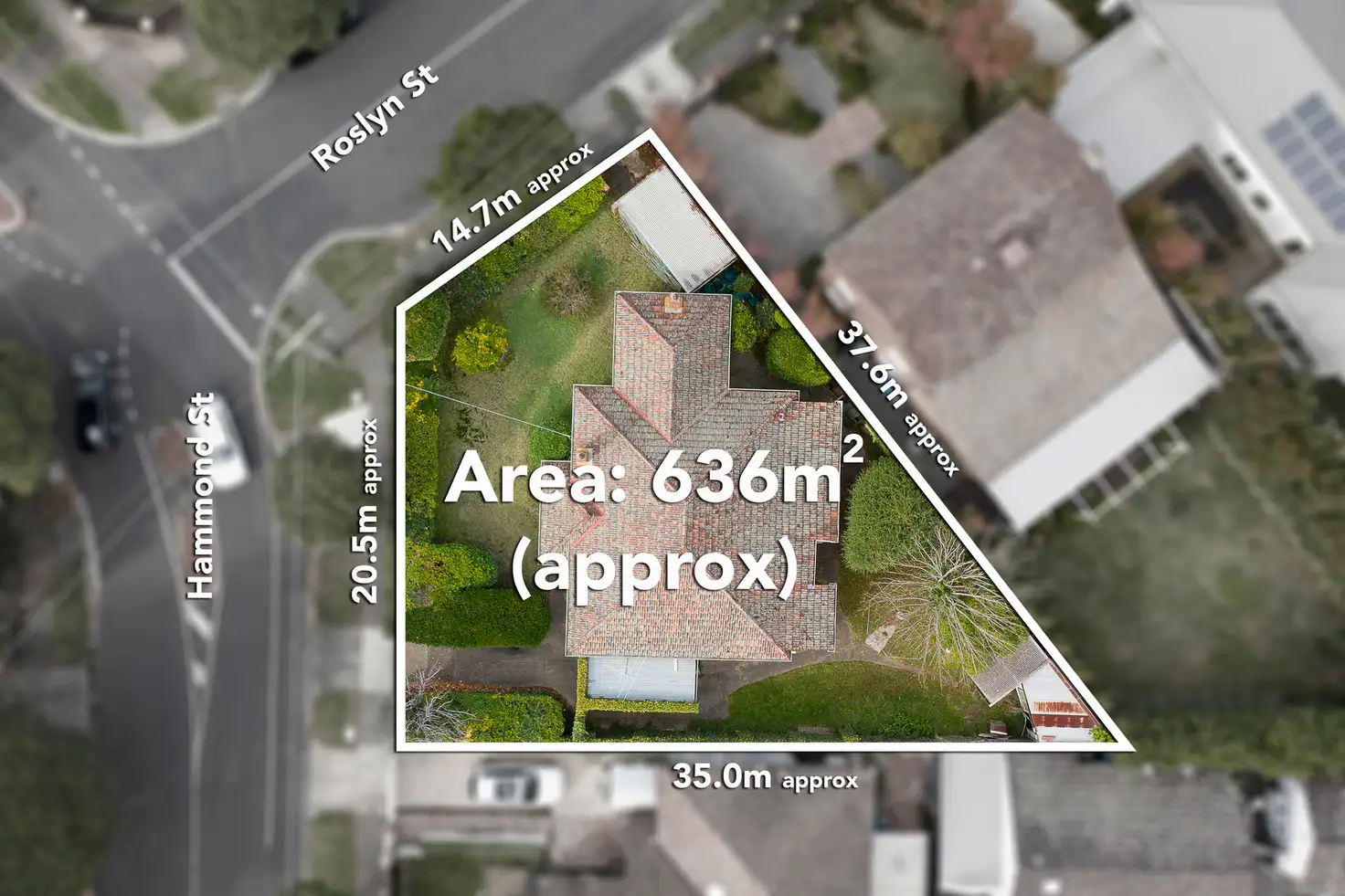 Main view of Homely house listing, 8 Hammond Street, Brighton VIC 3186