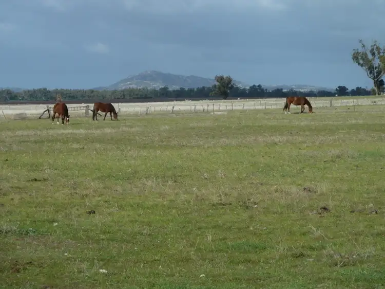 Lot 1 Boort-Wedderburn Road, Korong Vale VIC 3520