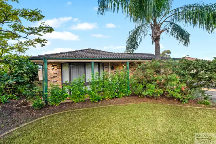 12 Alexander Street, Bligh Park NSW 2756