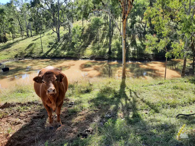 426 England Creek Road, England Creek QLD 4306
