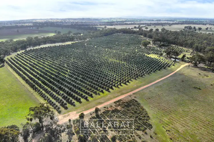 Main view of Homely rural property listing, 150 Susans Lane Percydale Via, Avoca VIC 3467