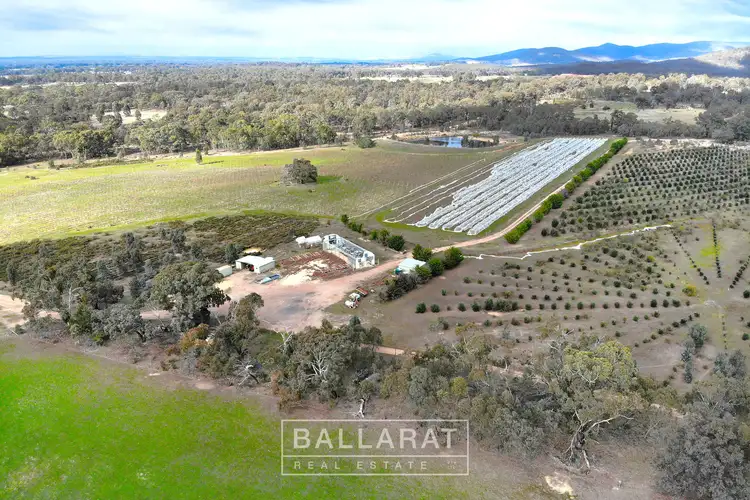 Fifth view of Homely rural property listing, 150 Susans Lane Percydale Via, Avoca VIC 3467