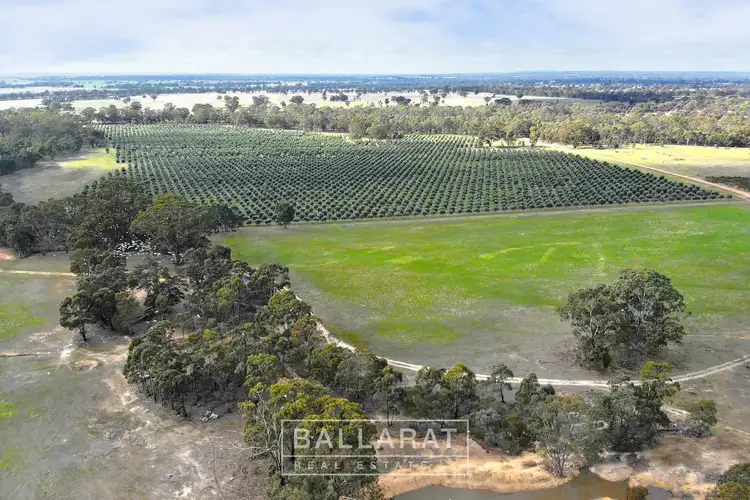 Sixth view of Homely rural property listing, 150 Susans Lane Percydale Via, Avoca VIC 3467