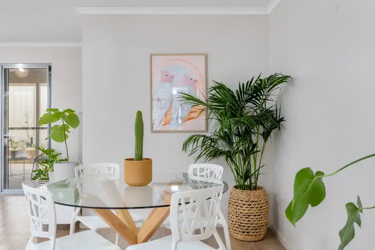 Sixth view of Homely house listing, 36 Jackson Terrace, Enfield SA 5085