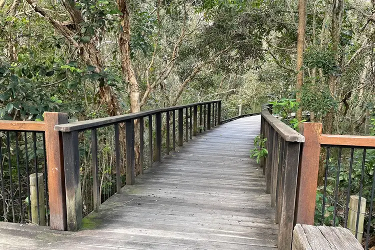 Seventh view of Homely land listing, 43 Boardrider Crescent, Mount Coolum QLD 4573
