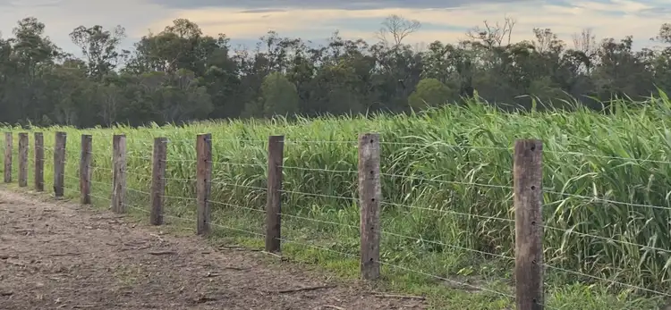 Lot 323 Mckenzies Road, North Isis QLD 4660