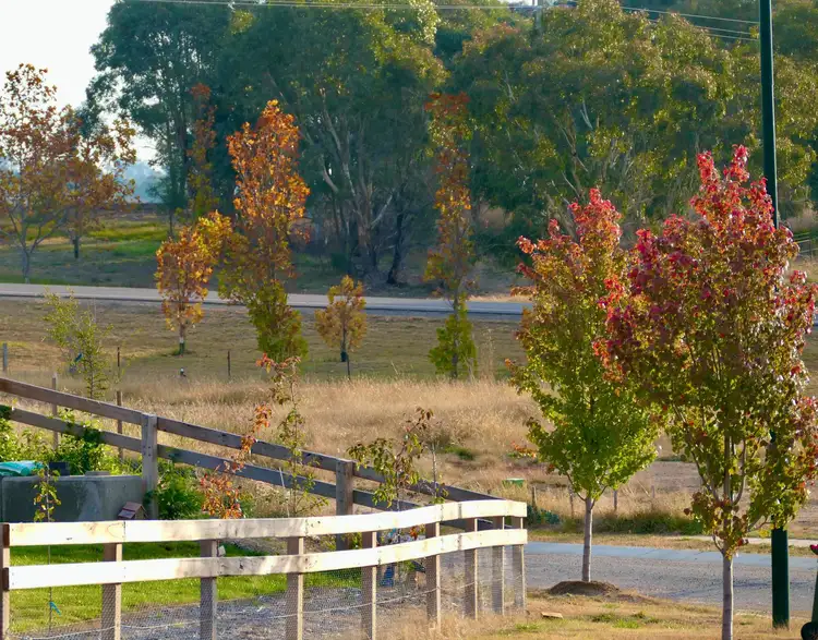 LOT 205 Green Avenue, Gunning NSW 2581