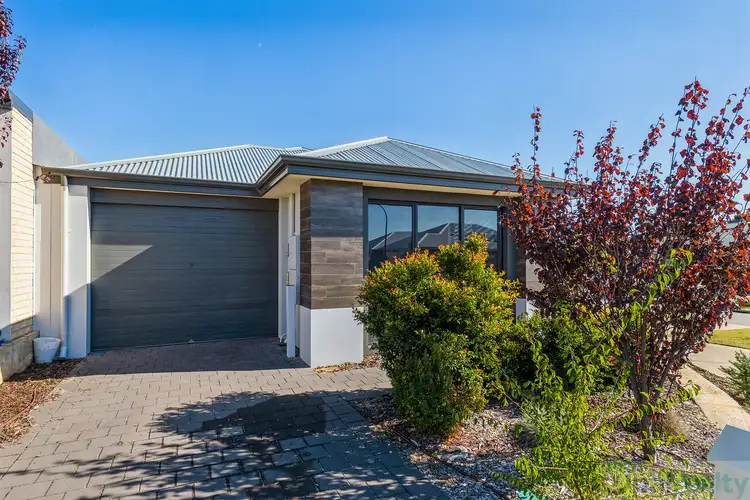 41 Abington Avenue, Baldivis WA 6171