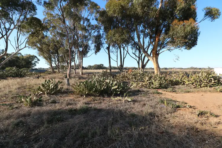 Main view of Homely rural property listing, Crn Echuca-Serpentine & Prairie Road, Calivil VIC 3573