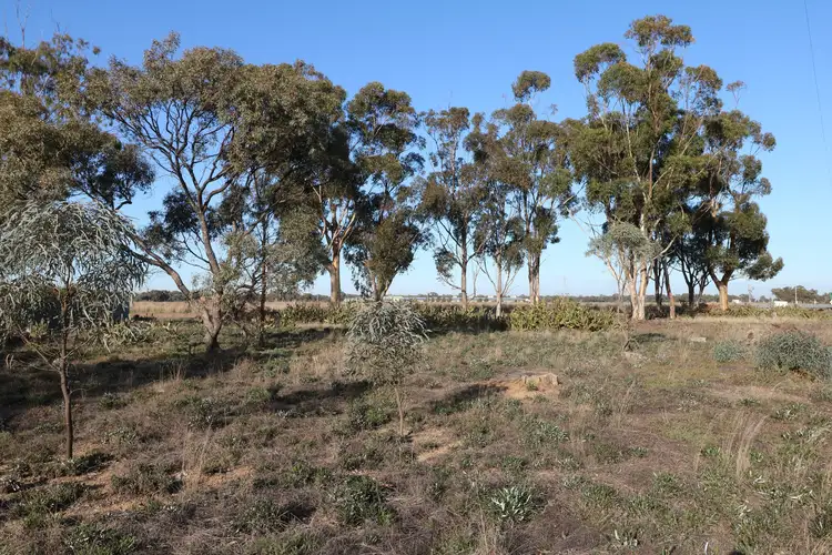 Second view of Homely rural property listing, Crn Echuca-Serpentine & Prairie Road, Calivil VIC 3573