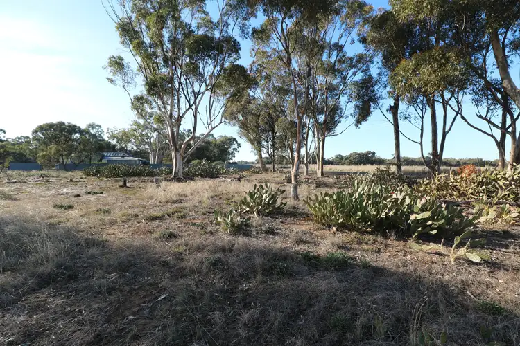 Third view of Homely rural property listing, Crn Echuca-Serpentine & Prairie Road, Calivil VIC 3573