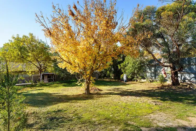 Sixth view of Homely house listing, 36 MacLise Street, Castlemaine VIC 3450