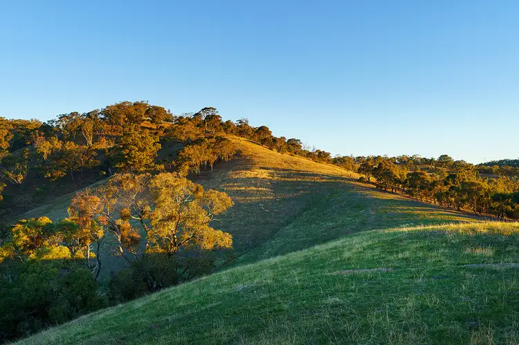Third view of Homely land listing, 1/223 Nuggetty Road, Maldon VIC 3463