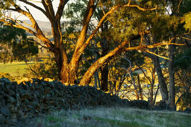 Sixth view of Homely land listing, 1/223 Nuggetty Road, Maldon VIC 3463