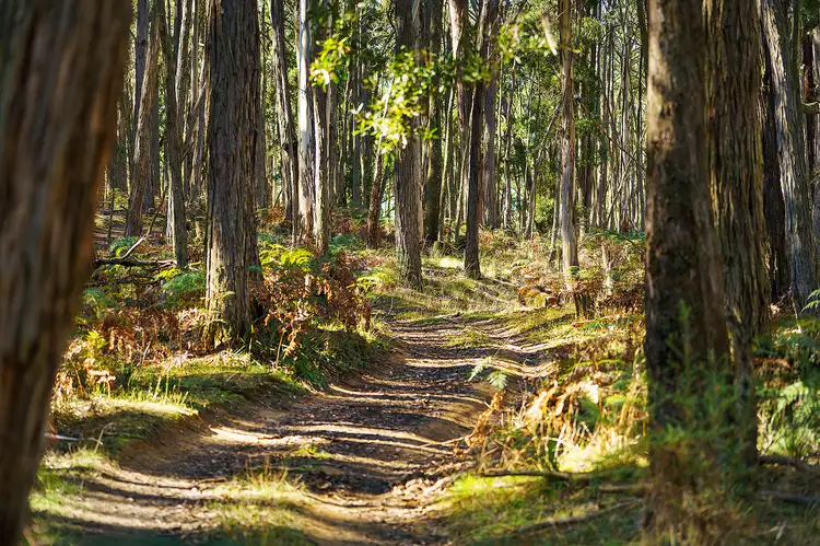 Second view of Homely land listing, 360 Long Swamp Road, Mollongghip VIC 3352