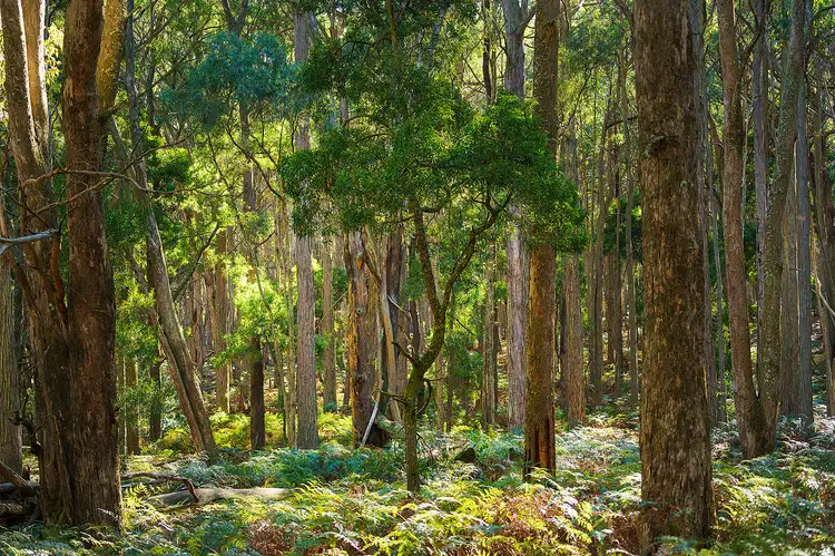 Third view of Homely land listing, 360 Long Swamp Road, Mollongghip VIC 3352