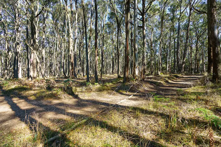 Seventh view of Homely land listing, 360 Long Swamp Road, Mollongghip VIC 3352