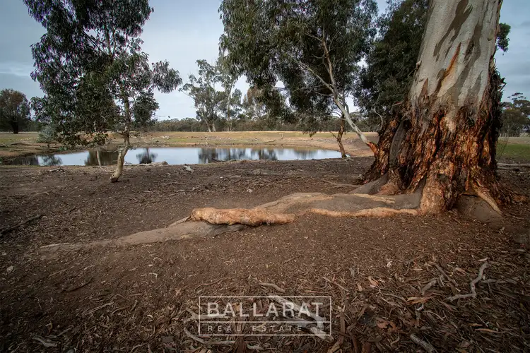 Fourth view of Homely land listing, LOT 5, 688 Timor-Bromley Road, Bet Bet VIC 3472