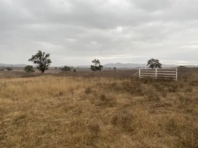 Main view of Homely rural property listing, 241 Bergalin Road, Gulgong NSW 2852