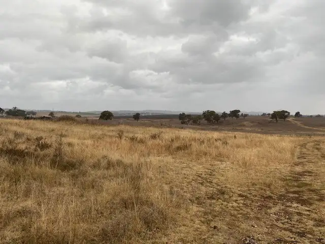 Second view of Homely rural property listing, 241 Bergalin Road, Gulgong NSW 2852