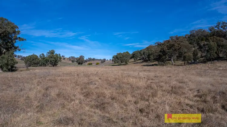Fourth view of Homely rural property listing, 435 Kaludabah Road, Mudgee NSW 2850