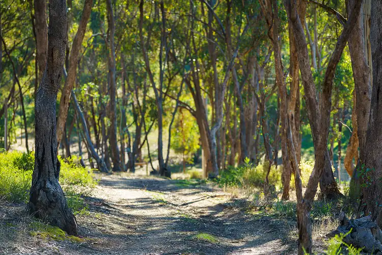 Fourth view of Homely land listing, 13A Merrifield Street, Castlemaine VIC 3450
