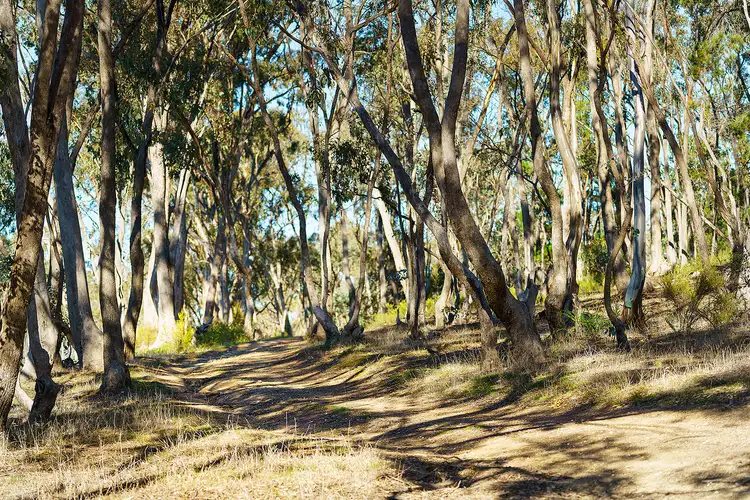Seventh view of Homely land listing, 13A Merrifield Street, Castlemaine VIC 3450