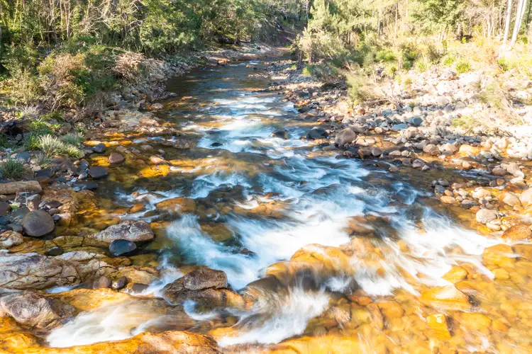 Main view of Homely rural property listing, Lot 20 Cockerawombeeba Road, Forbes River NSW 2446