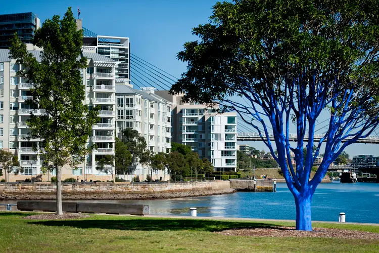 Sixth view of Homely apartment listing, 401/66 Bowman Street, Pyrmont NSW 2009