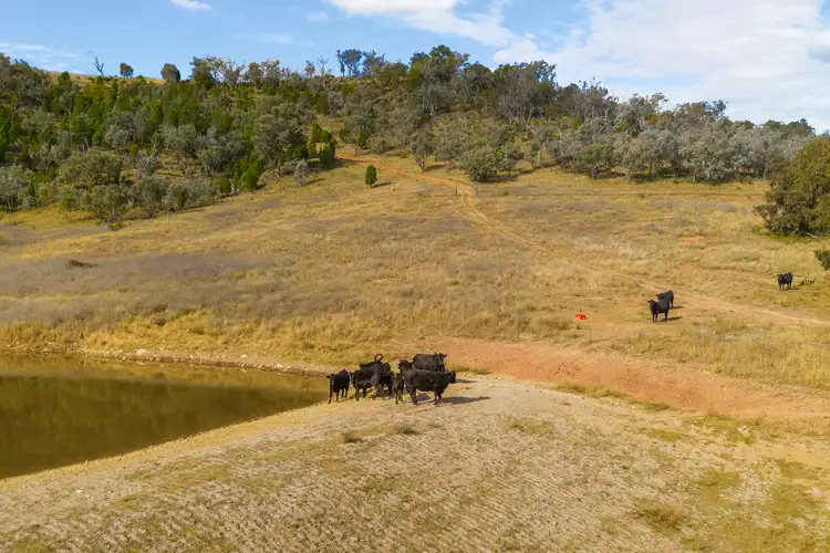 Fifth view of Homely rural property listing, 3496 Yarrabin Road, Mudgee NSW 2850