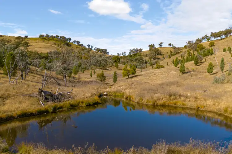 Sixth view of Homely rural property listing, 3496 Yarrabin Road, Mudgee NSW 2850