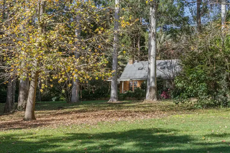 Second view of Homely house listing, 788 Friday Hut Road, Binna Burra NSW 2479
