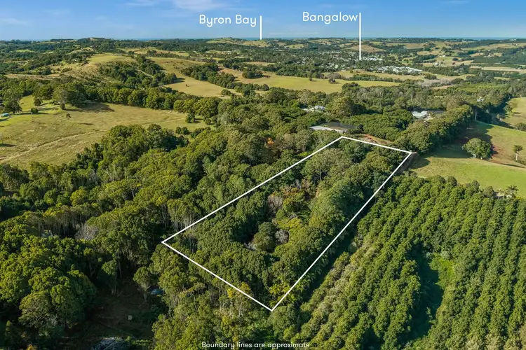 Third view of Homely house listing, 788 Friday Hut Road, Binna Burra NSW 2479
