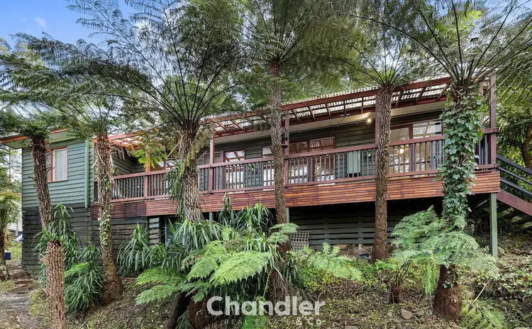 41 Kaola Street, Belgrave VIC 3160