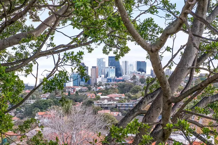 11/88 Raglan Street, Mosman NSW 2088