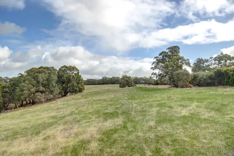 Sixth view of Homely rural property listing, 376 Cut Hill Road, Kangarilla SA 5157