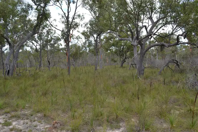 Second view of Homely land listing, 1631 Buxton Road, Buxton QLD 4660