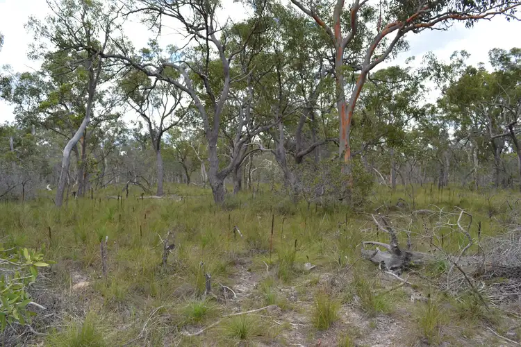 Fourth view of Homely land listing, 1631 Buxton Road, Buxton QLD 4660