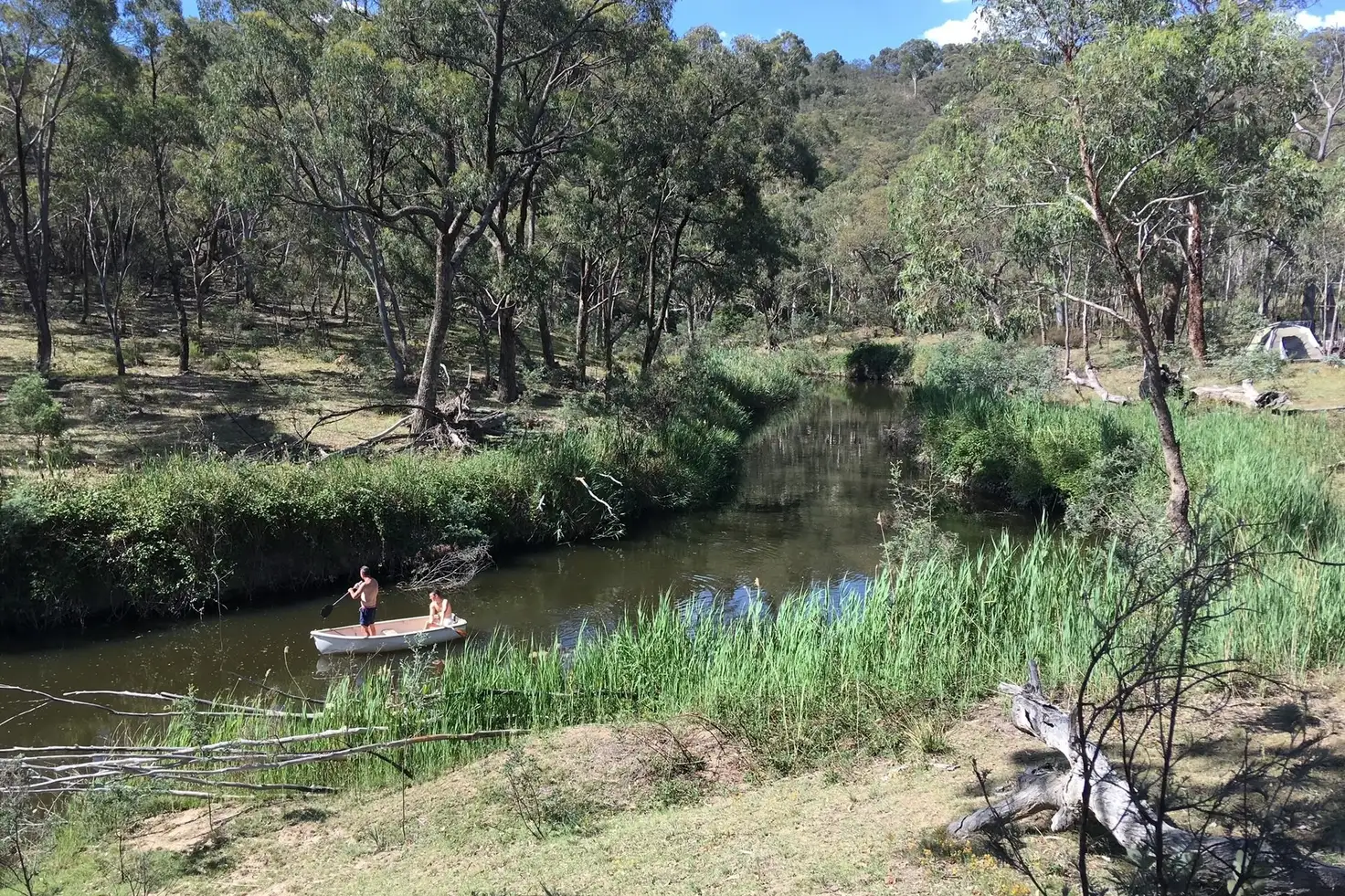 Main view of Homely rural property listing, 430 Sallys Flat Road, Mudgee NSW 2850