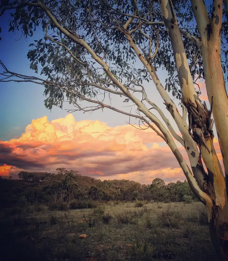 Sixth view of Homely rural property listing, 430 Sallys Flat Road, Mudgee NSW 2850