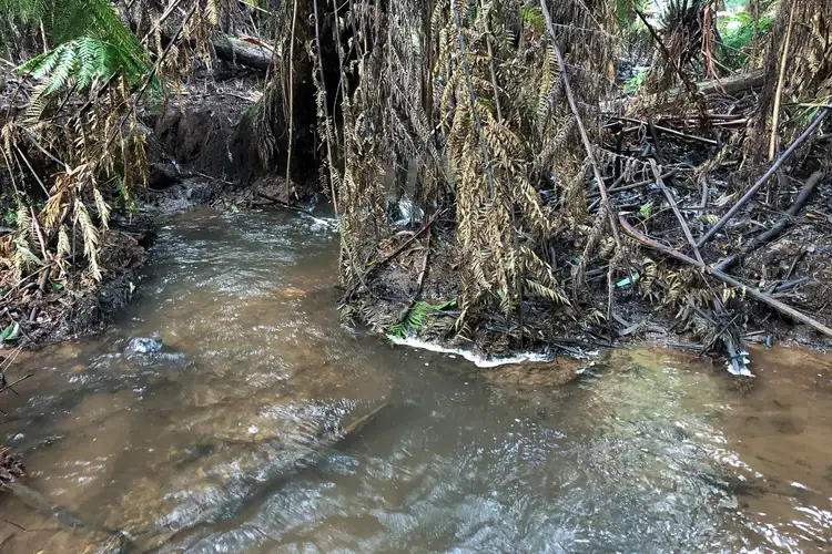 Second view of Homely land listing, 330 Prices Road, Gladysdale VIC 3797