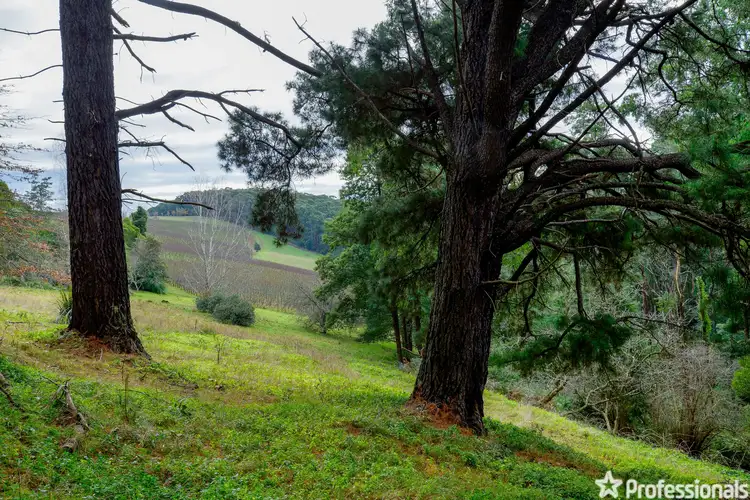 Third view of Homely land listing, 330 Prices Road, Gladysdale VIC 3797