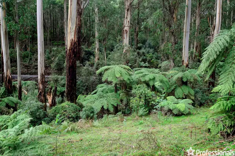 Fourth view of Homely land listing, 330 Prices Road, Gladysdale VIC 3797