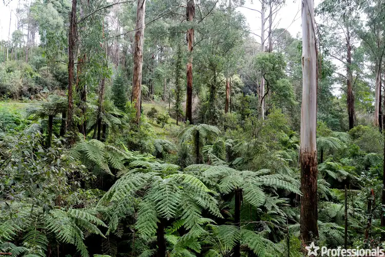 Fifth view of Homely land listing, 330 Prices Road, Gladysdale VIC 3797