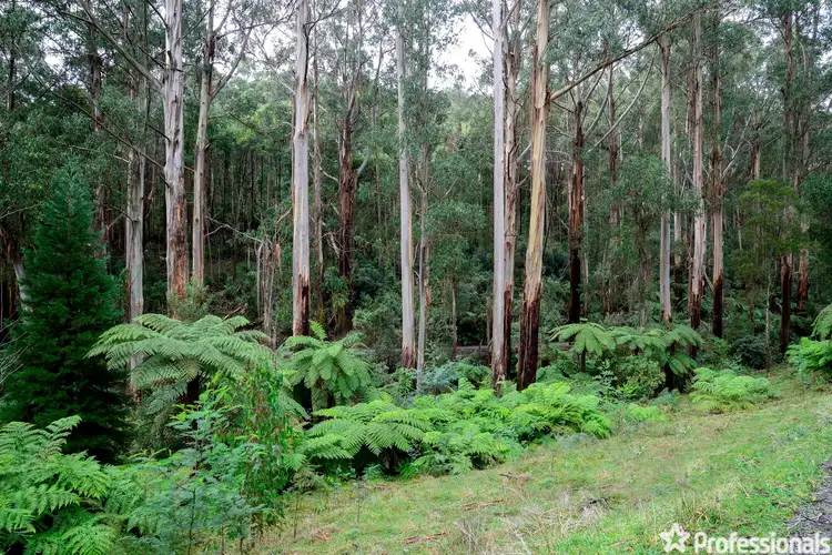 Sixth view of Homely land listing, 330 Prices Road, Gladysdale VIC 3797