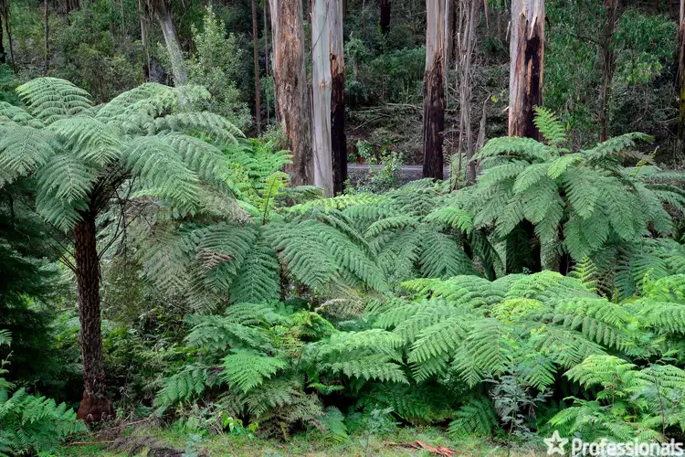 Seventh view of Homely land listing, 330 Prices Road, Gladysdale VIC 3797